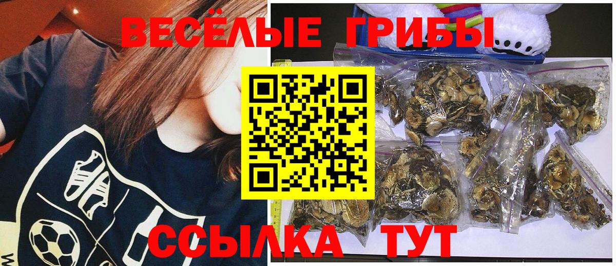 Псилоцибиновые грибы прущие грибы Киреевск
